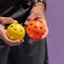 Fuse Indoor Pickleballs