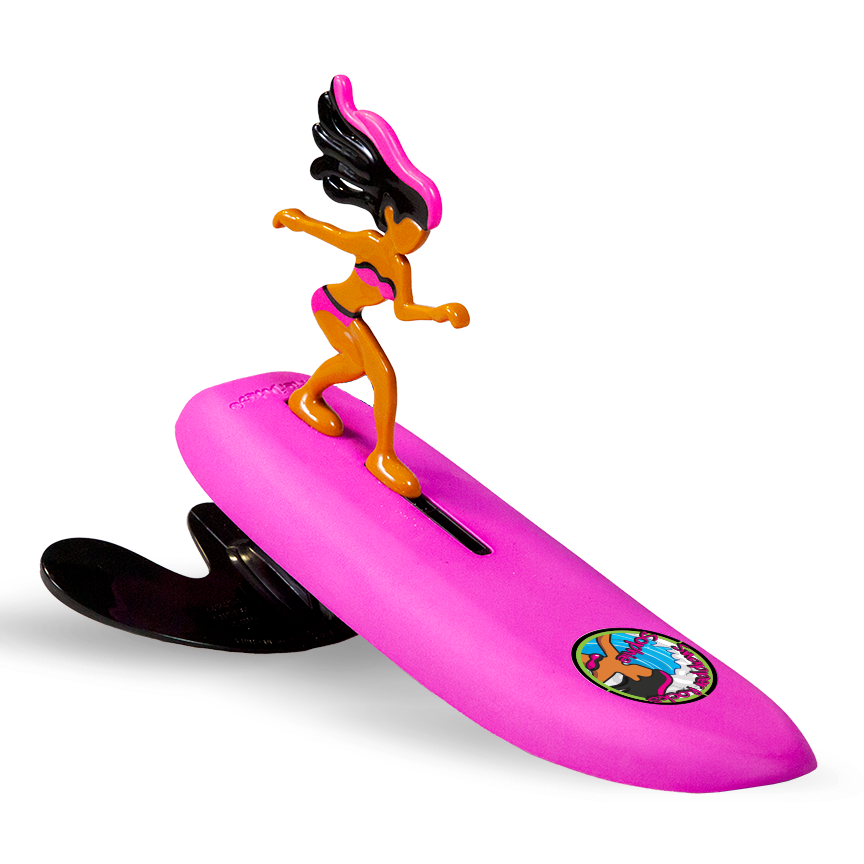 Surfer Dude 16 Pack